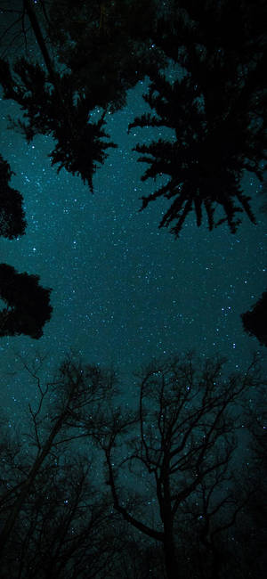 Oneplus Starry Night Sky wallpaper — iPhone 18 Picha ya Ukuta