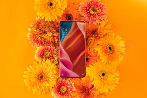 Oppo Smartphone na Mimea ya Kufurika — Oppo Picha ya Ukuta