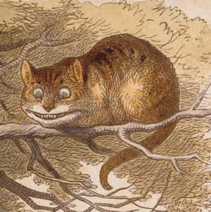 Picha za Cheshire Cat — Paka Cheshire Picha ya Ukuta