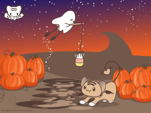 Paka Mrembo wa Halloween Ananyoosha Mwili