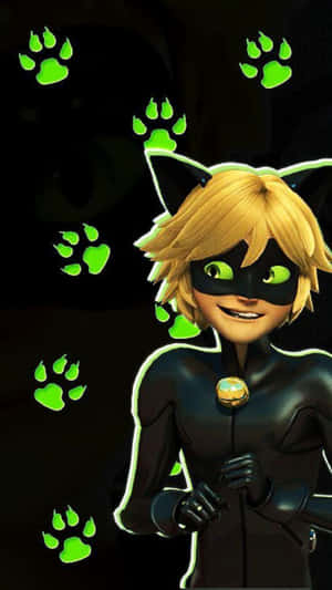 Picha za Cat Noir
