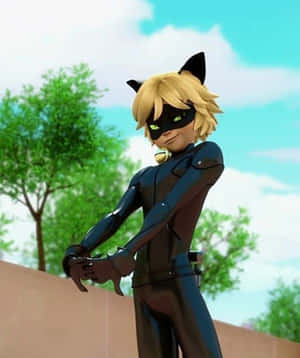 Picha za Cat Noir