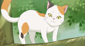 Picha za Paka wa Anime — Paka wa anime Picha ya Ukuta