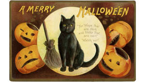 Paka wa Mchawi wa Halloween ya Kale — Halloween ya zamani Picha ya Ukuta