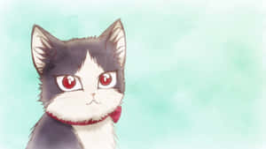 Paka wa Nyumbani Akifurahia Wakati na Kijana katika Chumba — Anime Picha ya Ukuta