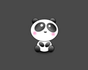 Mandharinyuma ya Panda — Panda Picha ya Ukuta