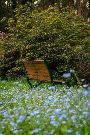 Park Bench Blue Flowers Phone — Huawei MatePad 11.5 (2026) Picha ya Ukuta