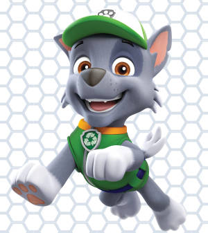 Paw Patrol Rocky wallpaper — Vivo X Fold3 Pro Picha ya Ukuta