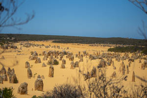Perth Yanchep National Park wallpaper — Subuhi Picha ya Ukuta