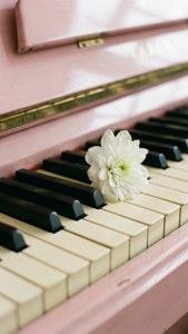 Vitufe vya piano na maua meupe, rangi laini za pastel. — Muziki lenzi Picha ya Ukuta