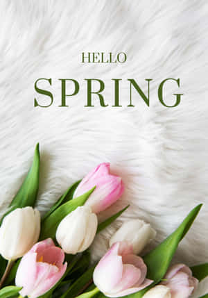 Asili Bora ya Spring — OnePlus Pad Go 2 Picha ya Ukuta