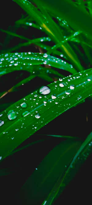 1080x2400 — Samsung galaxy s22 Picha ya Ukuta