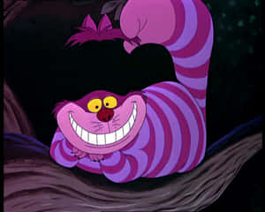 Picha za Paka Cheshire — Paka Cheshire Picha ya Ukuta