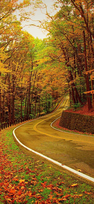Iphone Xs Max Autumn Background — HMD Vibe 5G Picha ya Ukuta