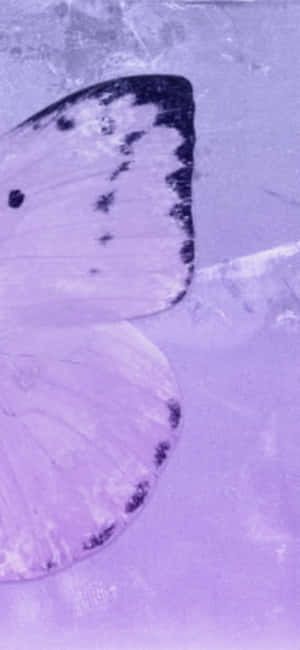 Aesthetic Purple Pictures — Honor Play Picha ya Ukuta