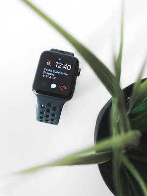 Apple Watch picha yenye mwoneko mzuri wallpaper — Apple Watch Picha ya Ukuta