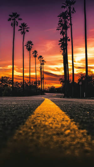 Picha ya Barabara ya Sunset Boulevard kwa ukuta
