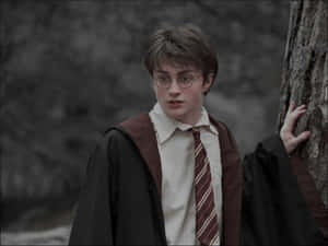 Picha za Harry Potter zenye urembo — Aesthetic Harry Potter Picha ya Ukuta