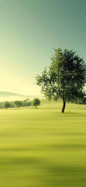 1290x2796 — Honor Magic Picha ya Ukuta