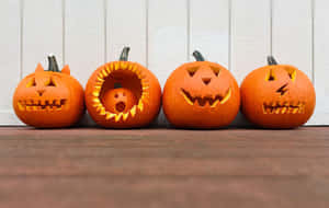 Picha za Kiboga za Halloween