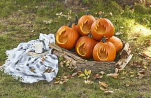 Picha za Chungu za Halloween