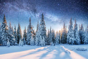 Picha za Snow Aesthetic — Mandhari ya Majira ya Baridi Picha ya Ukuta