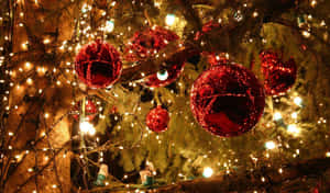 Picha za Taa za Krismasi — Mrembo wa Krismasi Picha ya Ukuta
