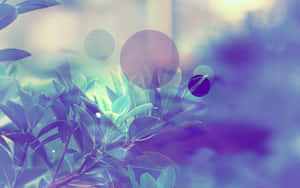 Kibadala cha Kompyuta cha Aesthetic