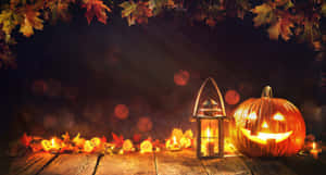 Picha za Halloween za Kuanguka — Sikukuu ya Wanyama Picha ya Ukuta