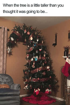 Picha za Krismasi za kuchekesha — Krismasi ya kuchekesha Picha ya Ukuta