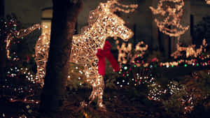 Picha za Krismasi za kupendeza — Krismasi aesthetic Picha ya Ukuta