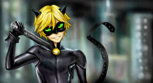 Picha za Cat Noir