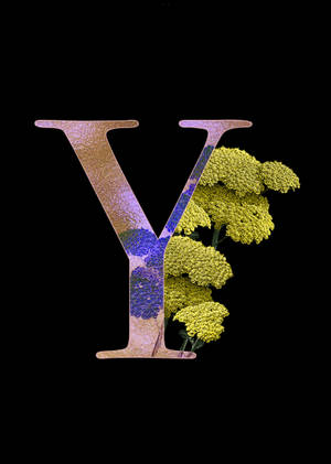 Pink Letter Y wallpaper — IQOO Pad5 Picha ya Ukuta