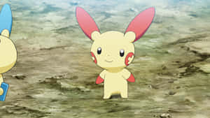 Plusle [tapeta] — Mandhari ya anime Picha ya Ukuta