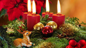 Poinsettia Christmas Decoration wallpaper — iMac Picha ya Ukuta