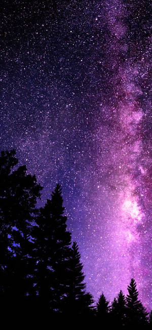 Pretty Galaxy Tree Tops — Galaxy S25 FE Picha ya Ukuta