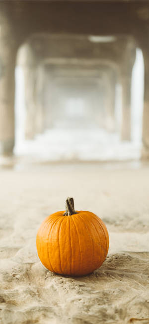 Pumpkin On Sand, Thanksgiving iPhone Background — iPhone 17 Pro Max Picha ya Ukuta
