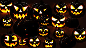 Background ya Pumpkin ya Halloween — Sikukuu ya Wanyama Picha ya Ukuta