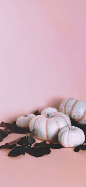 Pinki Pumpkin — Motorola Edge 70 Fusion Picha ya Ukuta