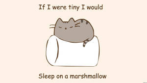 Pusheen Anayekweli Juu ya Marshmallow wallpaper — Rahisi Picha ya Ukuta
