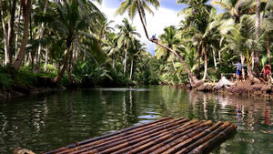 Rafu ya Mto Maasin wa Siargao Island wallpaper — Pro Display XDR Picha ya Ukuta