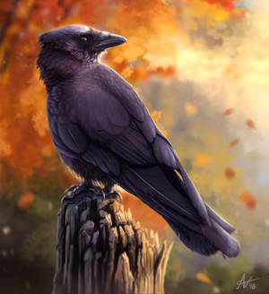Raven Katika Autumn HD artwork — Vivo X Fold3 Pro Picha ya Ukuta