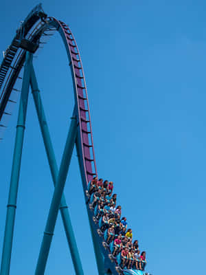 Picha za Seaworld — iPad 9th Generation Picha ya Ukuta
