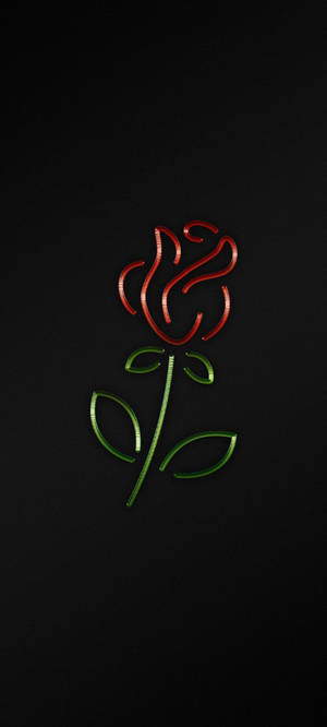 Tapeta la rose ya iPhone nyeusi — 1440x3200 Picha ya Ukuta