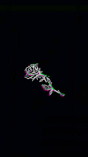 Rose ya Trippy ya Giza