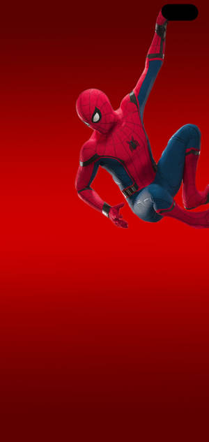 S10+ Amazing Spiderman wallpaper. — iPhone 13 Mini Picha ya Ukuta