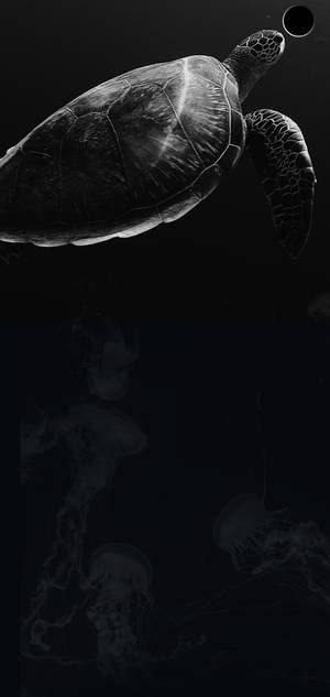 S10+ Dark Turtle wallpaper — iPhone 18 Pro Max Picha ya Ukuta