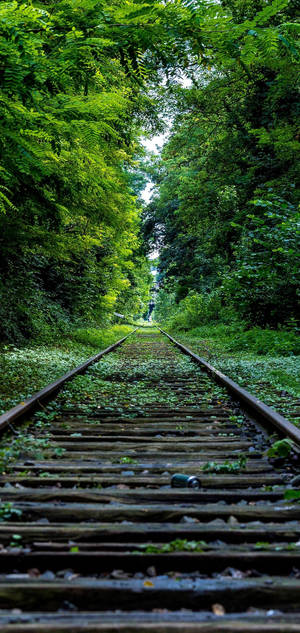 S10 railroad green trees wallpaper.