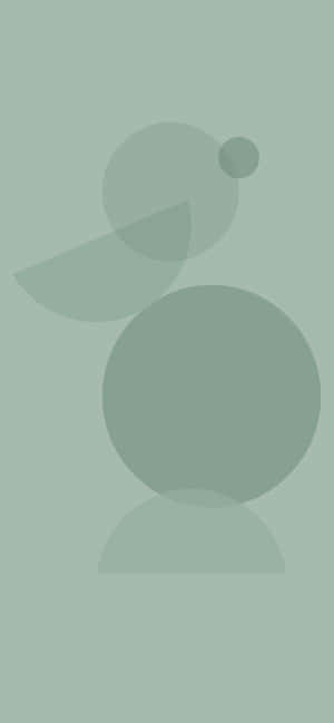 Sage Aesthetic Circle And Semicircle — Realme 15T Picha ya Ukuta