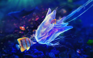 Picha ya samaki baridi na jellyfish